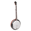 Bild på Richwood RMB-905-A Heritage Series Raised Head Bluegrass Banjo 5-string