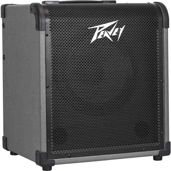 Bild på Peavey MAX100 - Bascombo