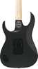 Bild på Ibanez RG550-BKF Black Flat