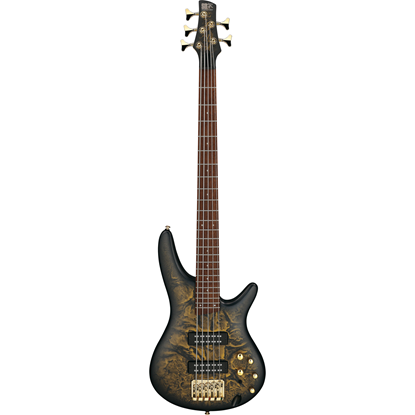 Bild på Ibanez SR305EDX-FDM Frozen Gold Matte