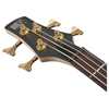 Bild på Ibanez SR300EDX-FDM Frozen Gold Matte