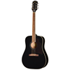 Bild på Epiphone Hummingbird Tribute​ Ebony