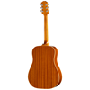 Bild på Epiphone Hummingbird Tribute​ Heritage Cherry Sunburst