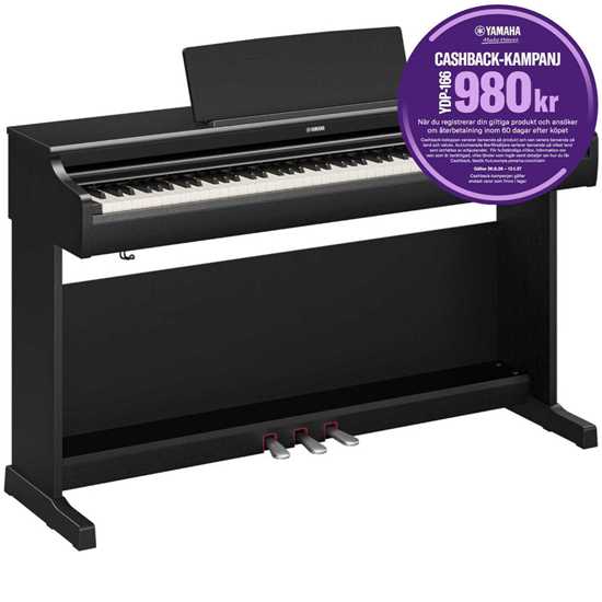 Bild på Yamaha YDP-166 B Black
