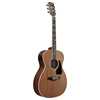 Bild på Ibanez AC390MHE Artwood Open Pore Natural