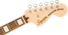 Bild på Squier Paranormal Troublemaker Telecaster Deluxe Bigsby Black