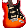 Bild på Fender American Professional Stratocaster HSS Rosewood Fingerboard Aged Cherry Burst