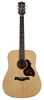 Bild på Richwood D-20 Master Series Dreadnought
