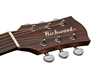 Bild på Richwood D-20 Master Series Dreadnought
