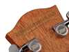 Bild på Richwood D-20 Master Series Dreadnought