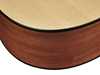 Bild på Richwood D-20 Master Series Dreadnought